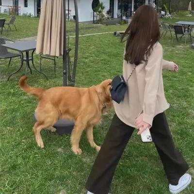 中国奇谈之小鬼偷金粤语